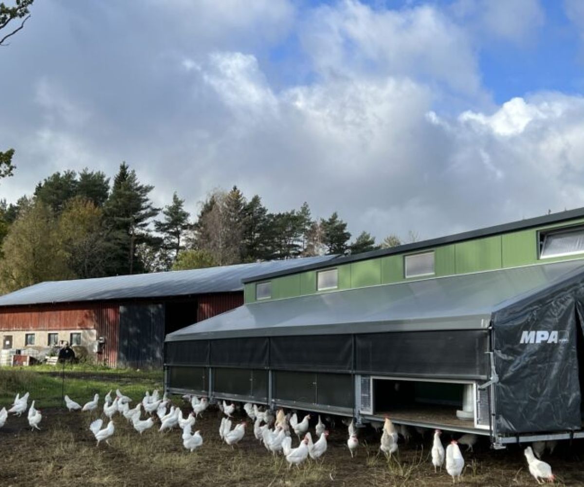 Produktbild av det mobila hönshuset Haugaard 600