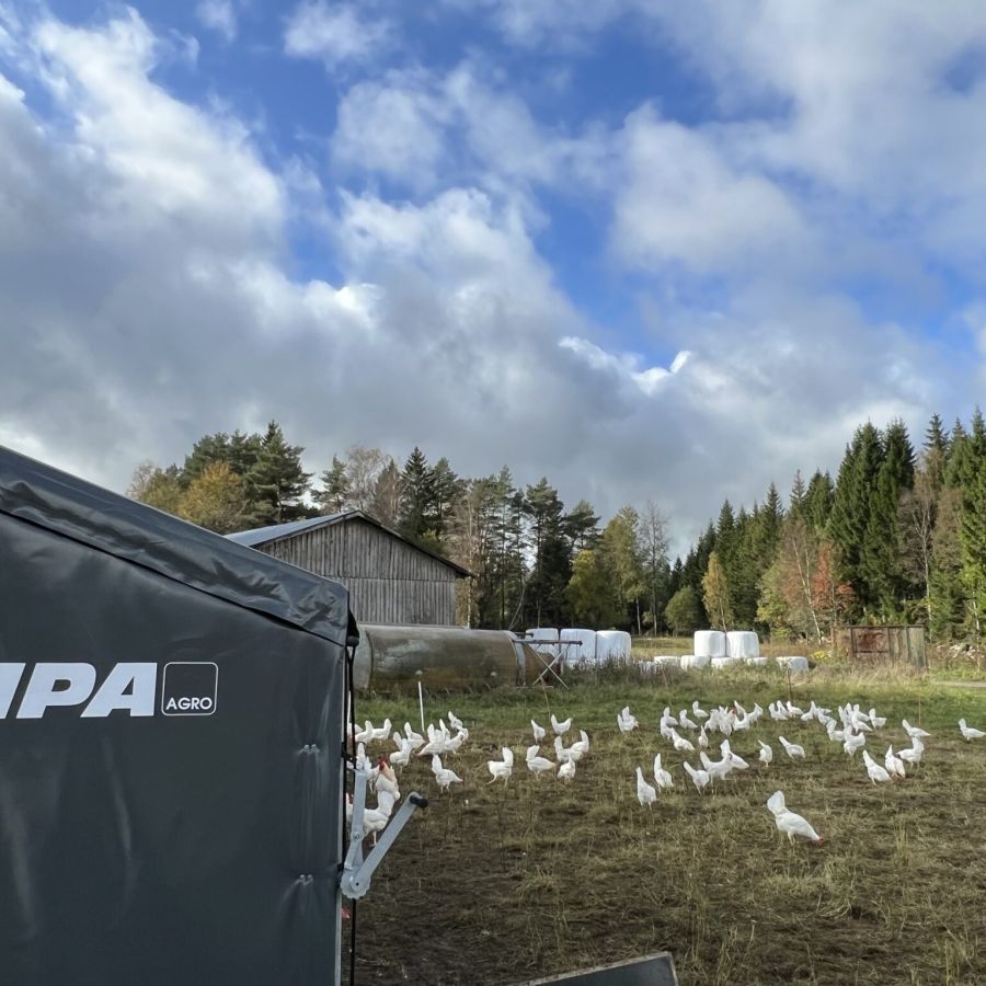 wp-content/uploads/2026/05/slapputhonsen.jpeg